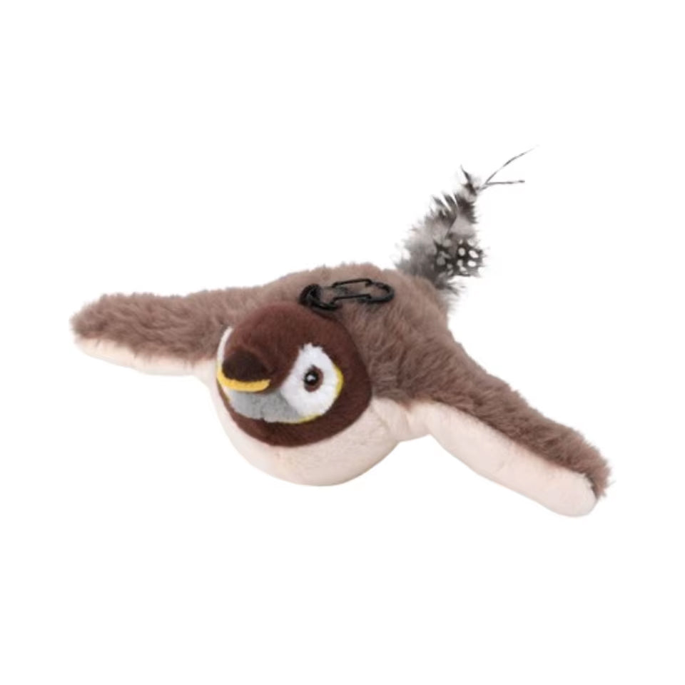 Cat Sparrow
